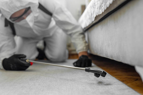 Professional Bed Bug Control technician working in Houston, MS
