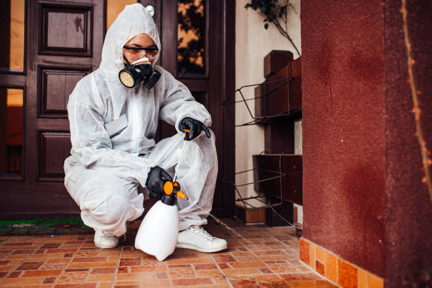 Reliable Bed Bug Control contractor in Houston, MS by Nex Pest Control